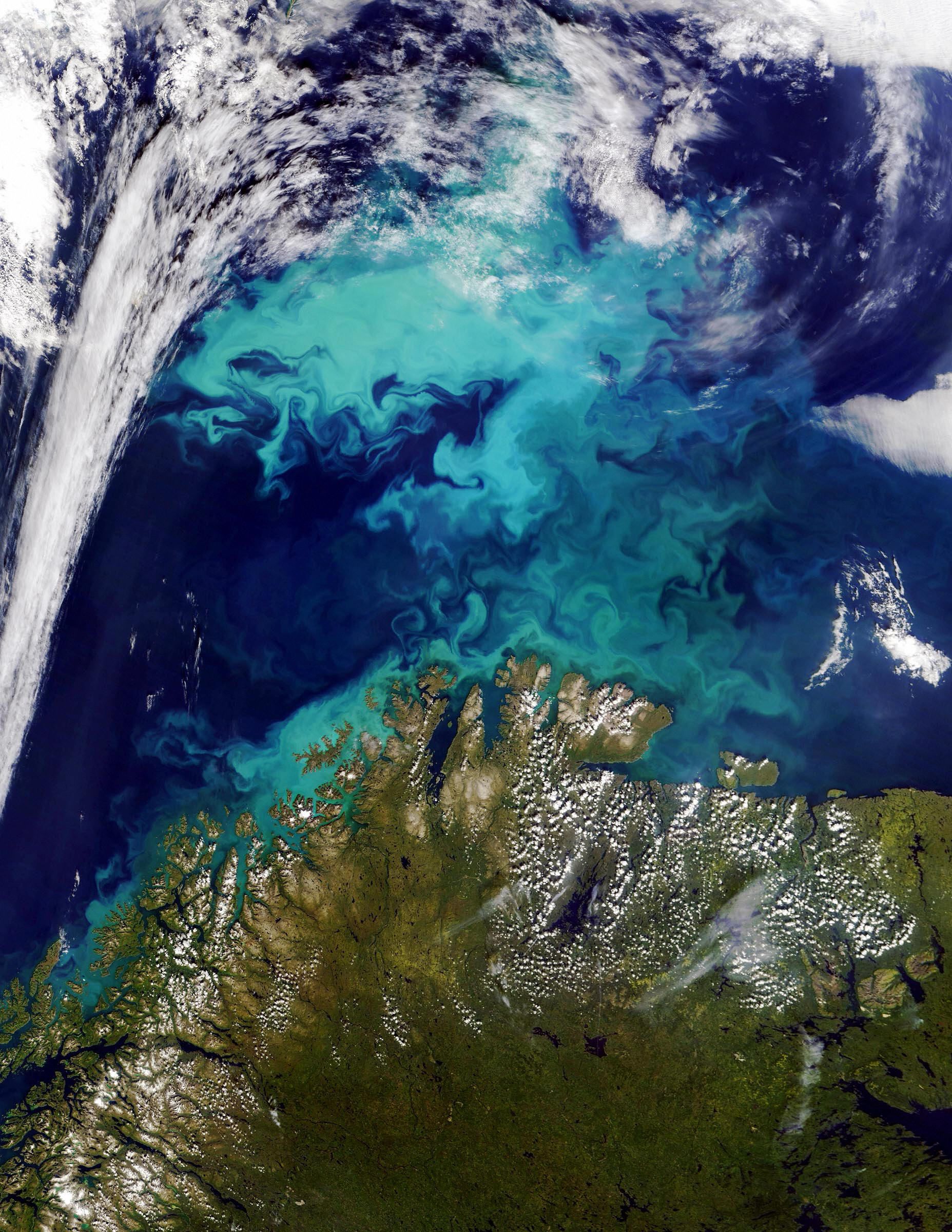 What Causes Decreased Carbon Dioxide Levels