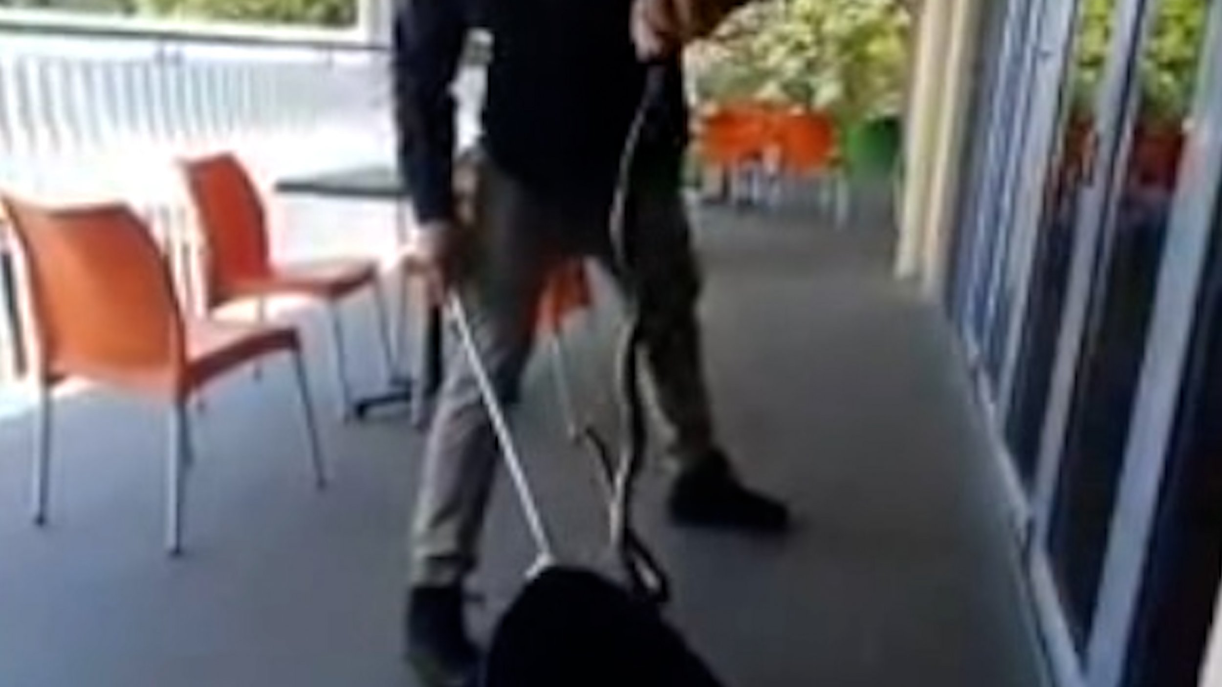 Watch Deadly Snake Gets Caught In School Library