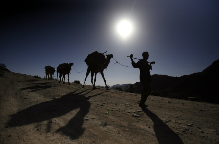 Ethiopian herder