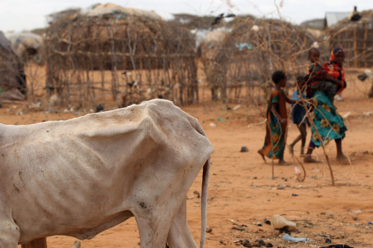 Dagahely refugee camp