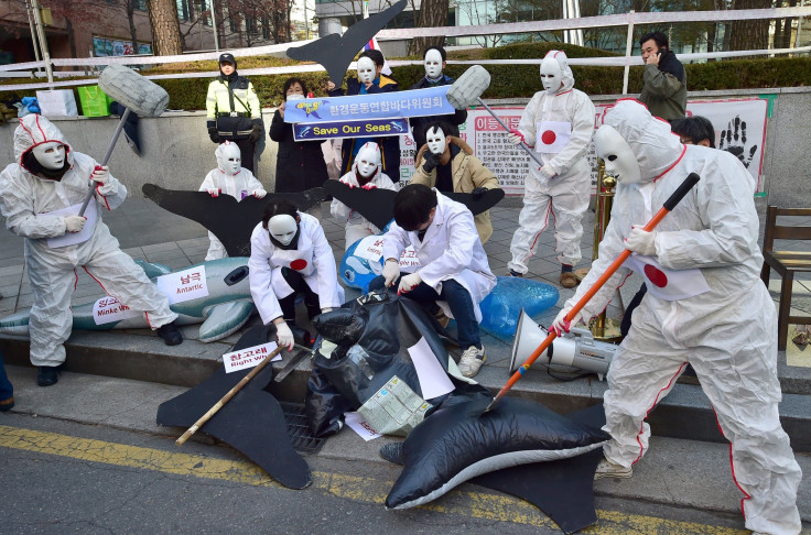 Anti whaling protests