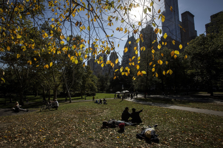 Central Park bathed in sunlight 