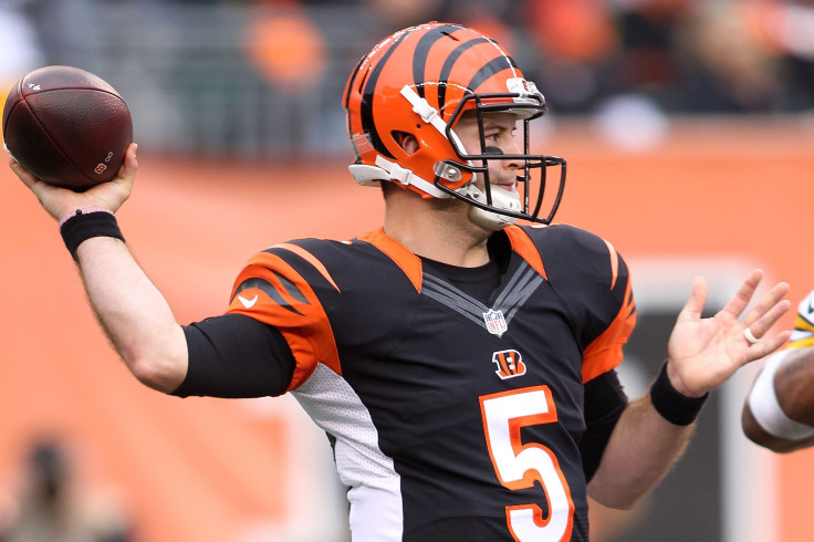 AJ McCarron Cincinnati Bengals 