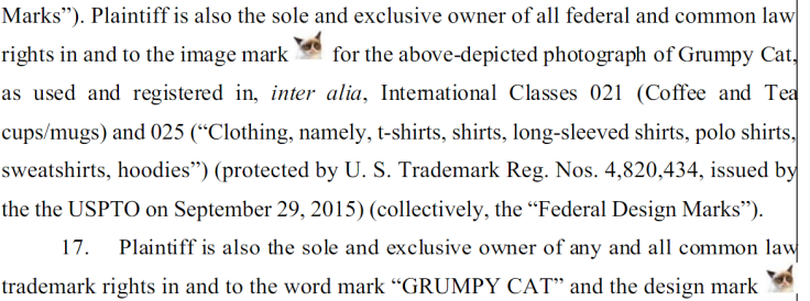 grumpy cat lawsuit
