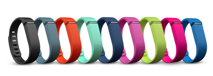 Fitbit Flex