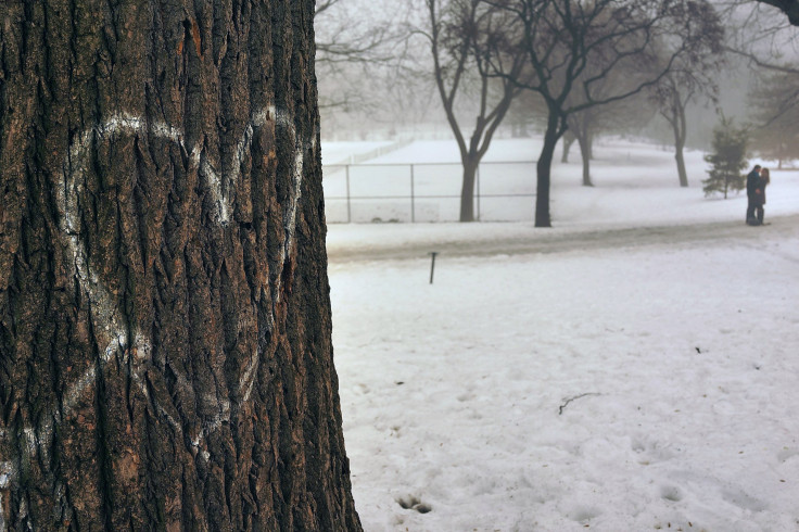 Fort Greene Park, NYC