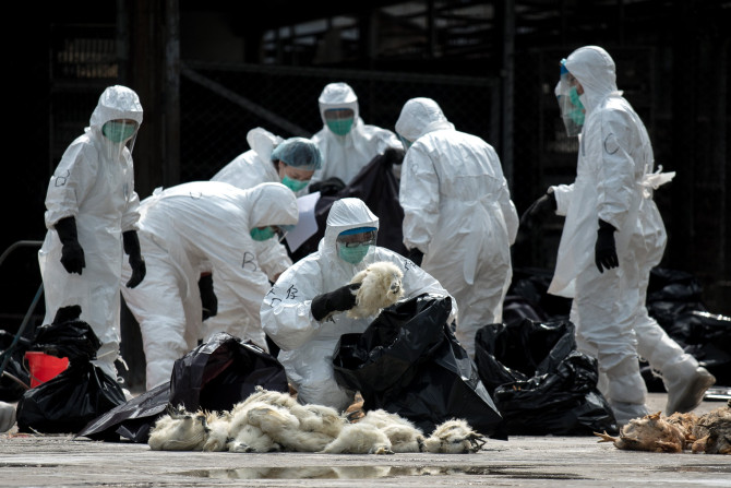H5N6 Avian Influenza virus China death