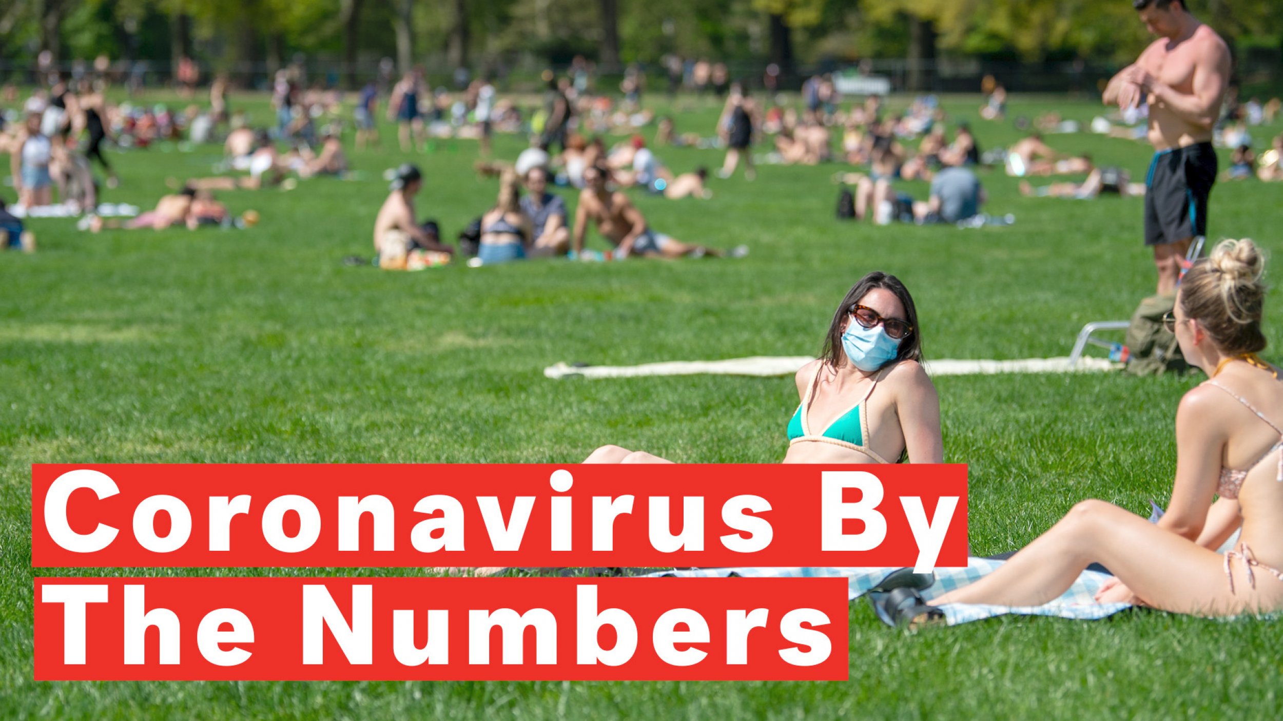 Coronavirus By the Numbers U.S. States Reopen As COVID-19 Cases Reach 4.4 Million Worldwide