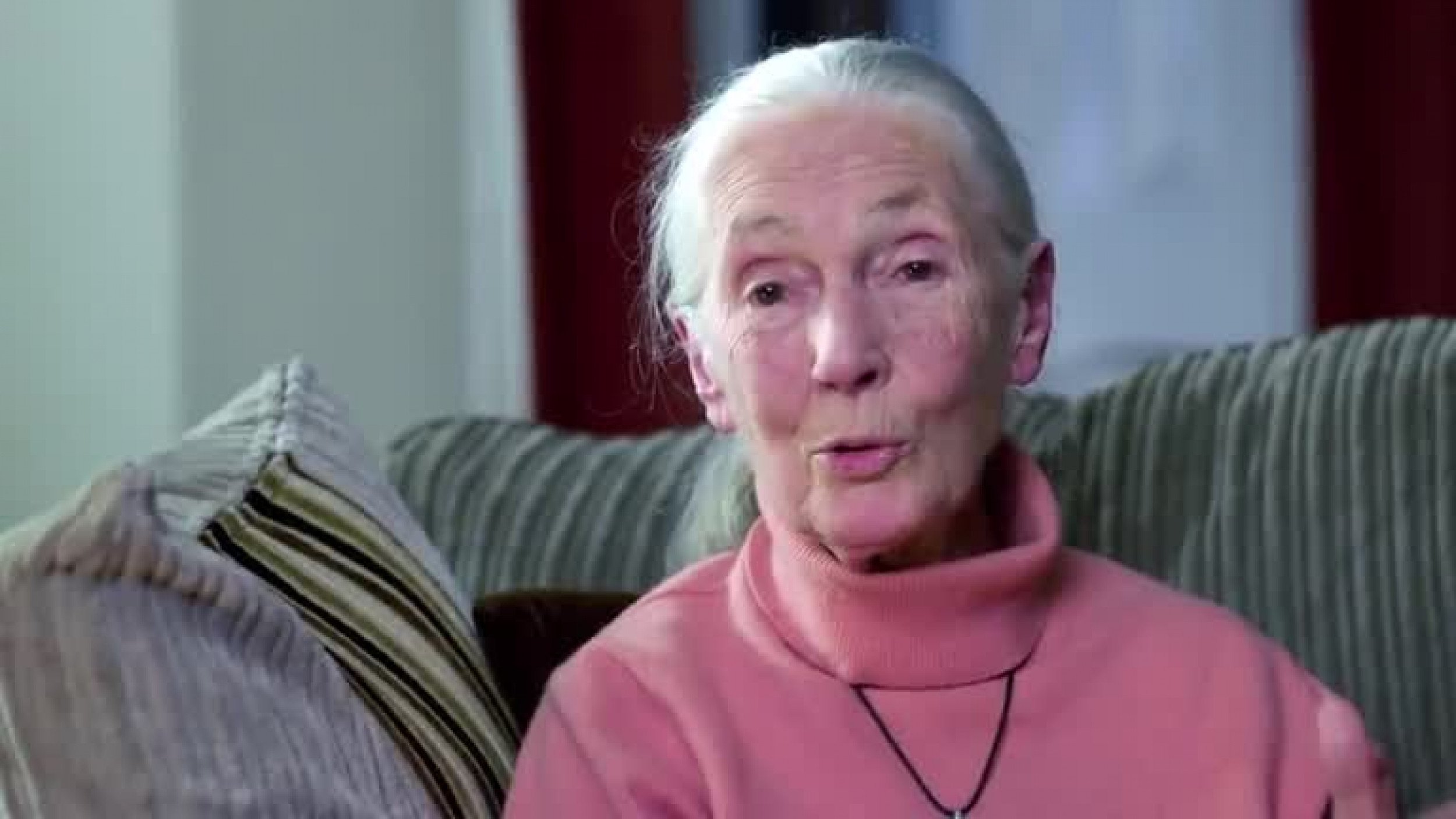 Jane Goodall The Hope  Trailer  National Geographic