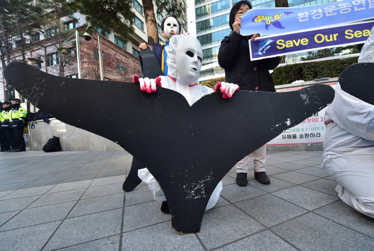 SouthKoreaWhaleProtest_Dec2015
