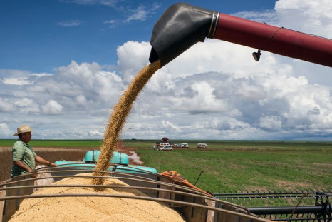 gettyimages-soybeans