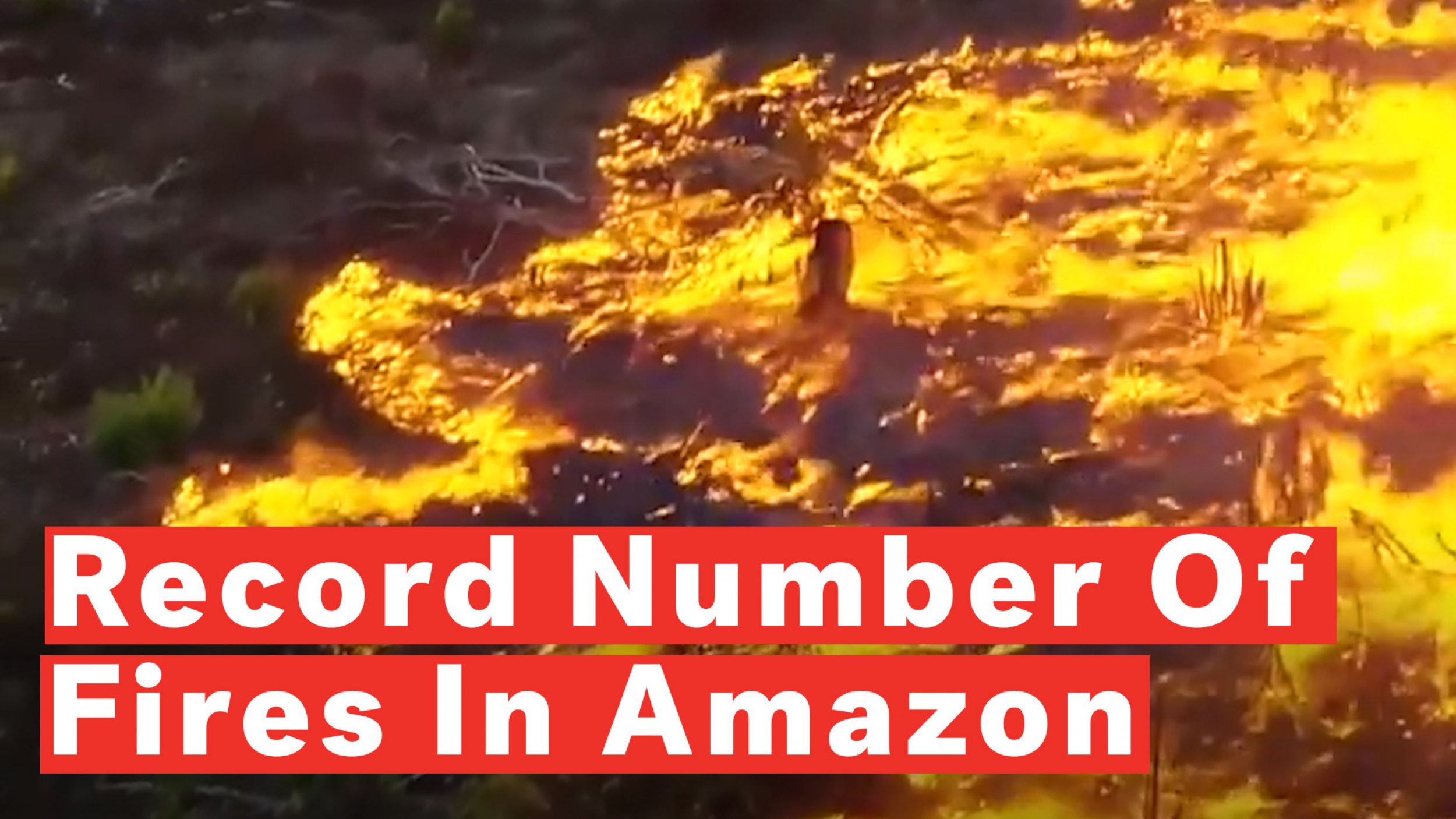 A Record Number Of Fires Are Burning In Brazils Amazon Rainforest