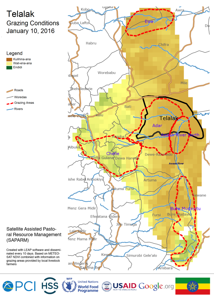 Telalak grazing conditions 1/10/2016