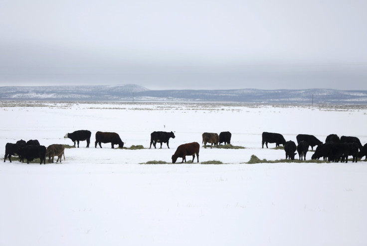 MalheurNationalWildlifeRefuge_Oregon_Jan2016