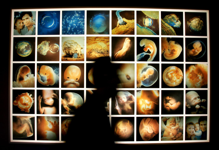 human embryos