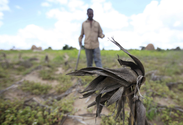 Zimbabwe drought