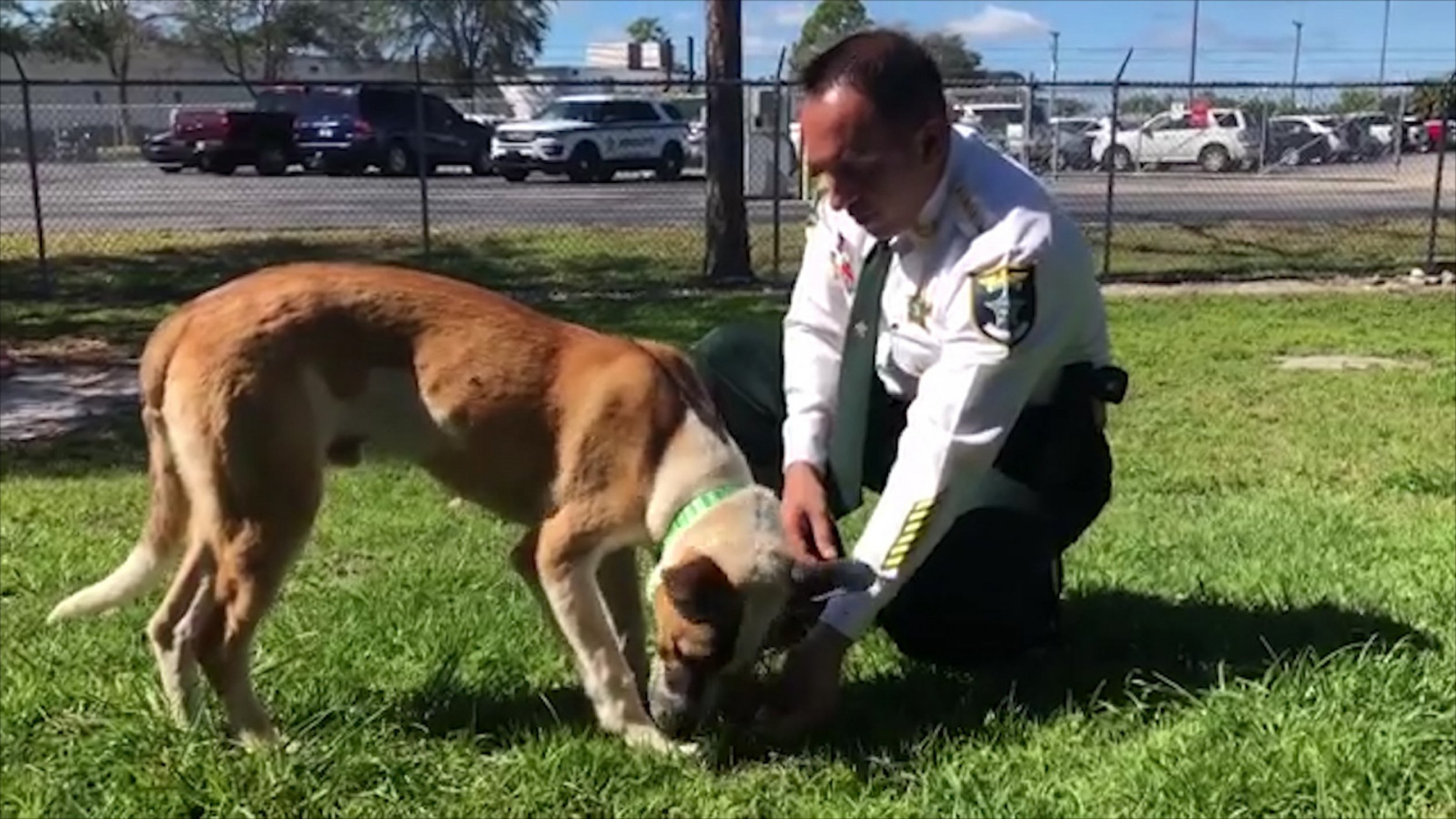 Lee County Sheriff Says He Will Not Tolerate Animal Cruelty