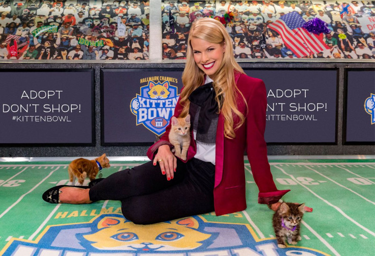 Hallmark Channel's Kitten Bowl III