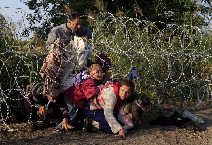 Hungary fences