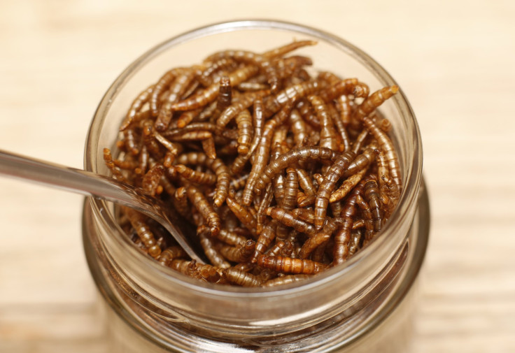 Mealworms