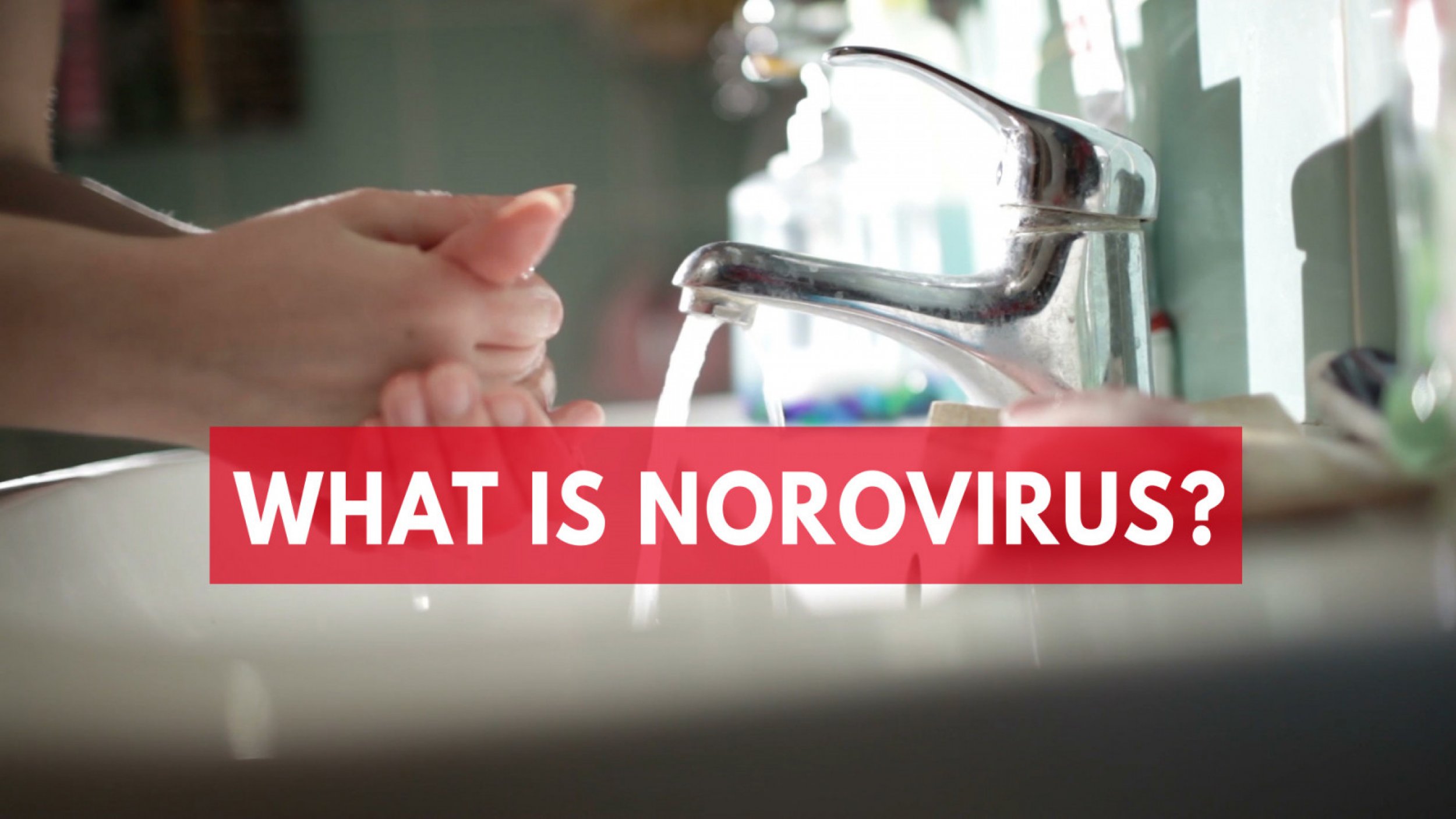 What Is Norovirus