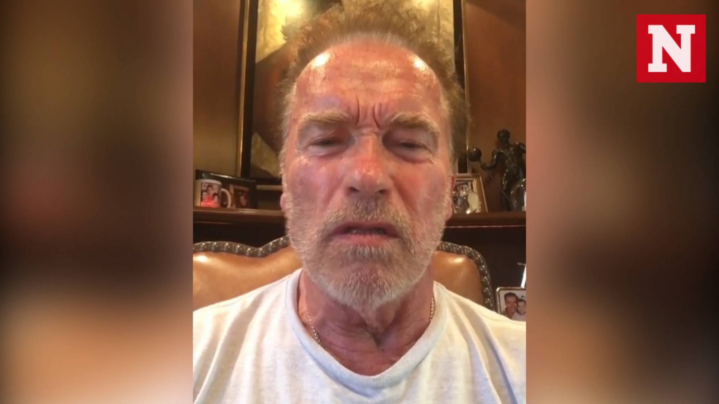 Arnold Schwarzenegger Calls Trump A Wet Noodle After Putin Summit