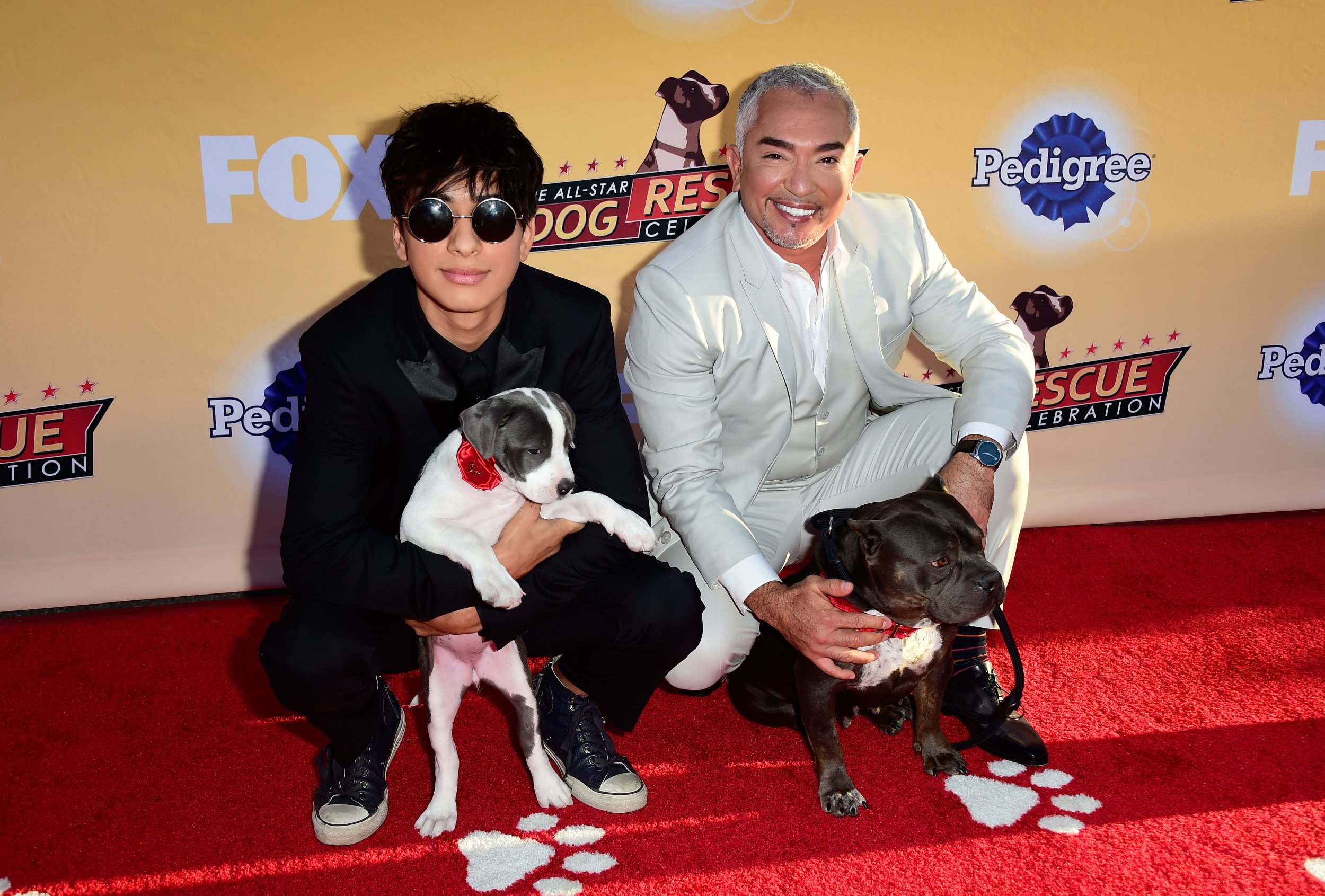 Cesar millan 2024 show 2019