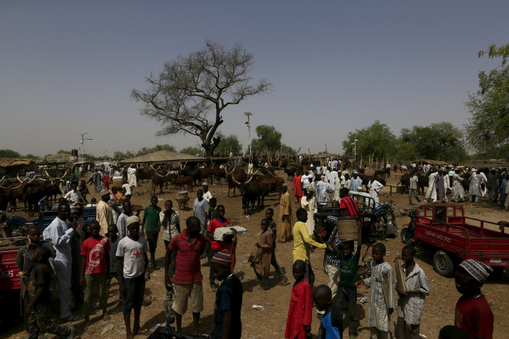 Maiduguri-Nigeria