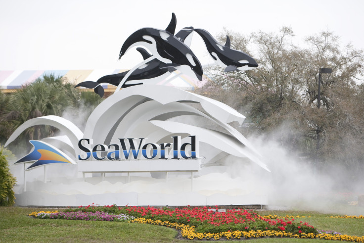 seaworld