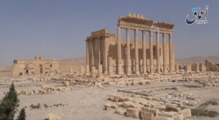 palmyra