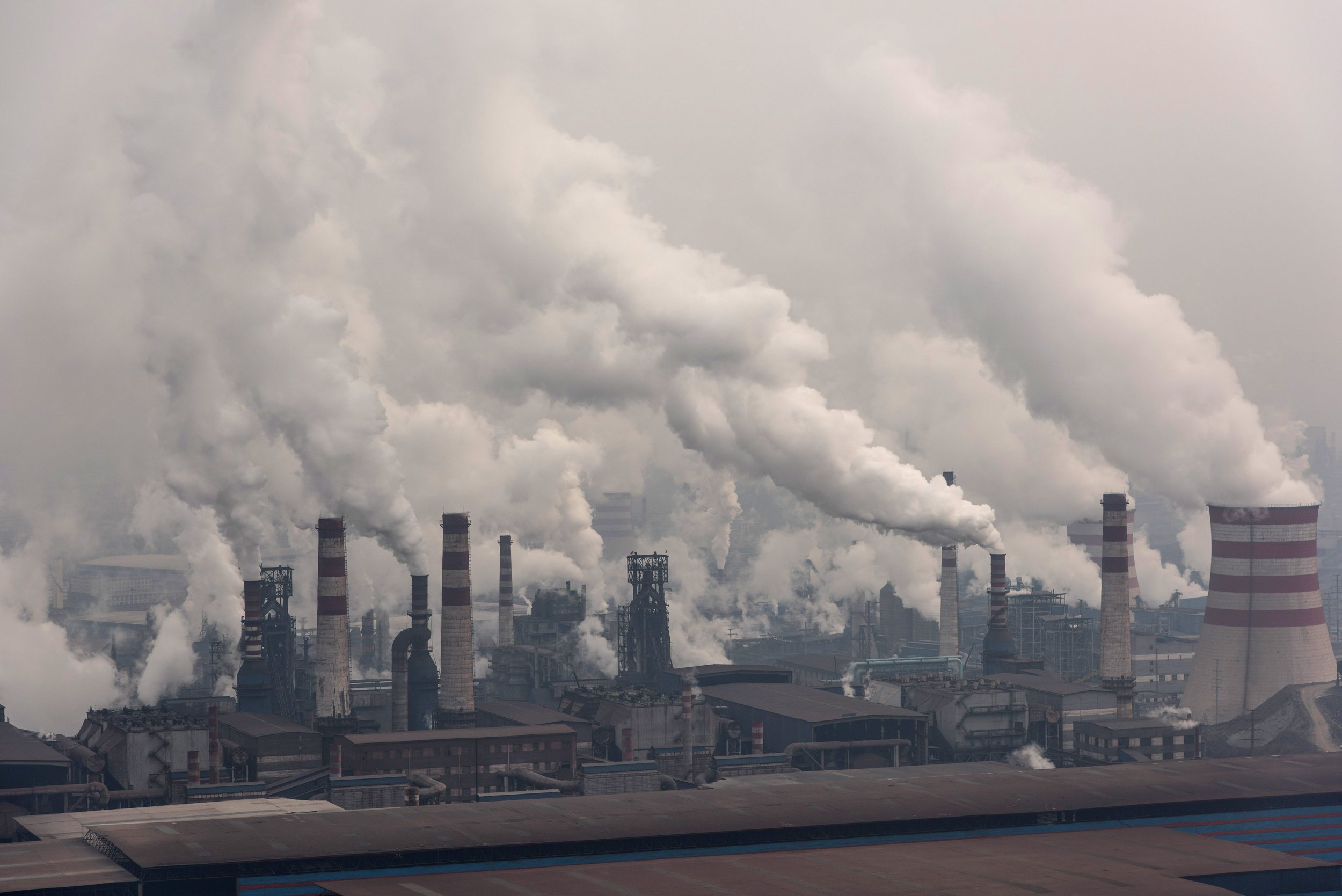 China’s ‘Historic’ Drop In Coal Use Did Not Lead To Dip In Carbon ...