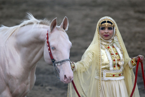 An Omani woman shows an albino horse