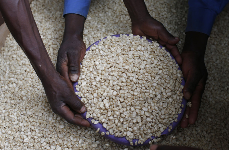 Malawi maize trader