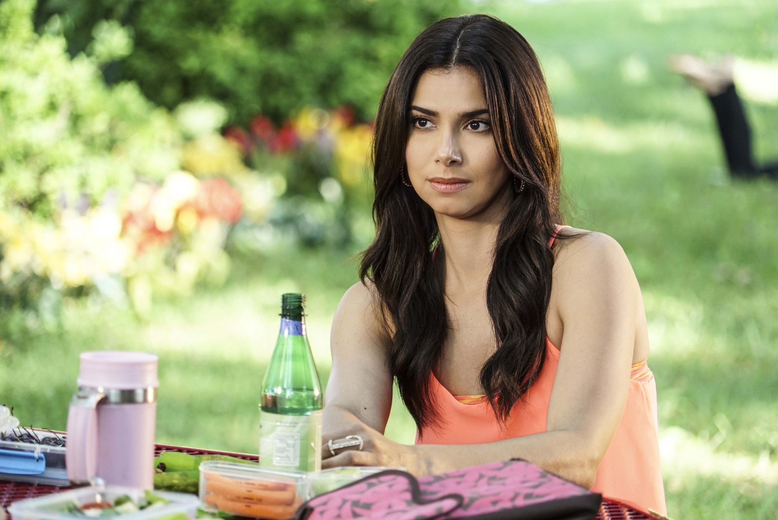 ‘Devious Maids’ Season 4 Spoilers: Roselyn Sanchez Teases Jail Time For ...