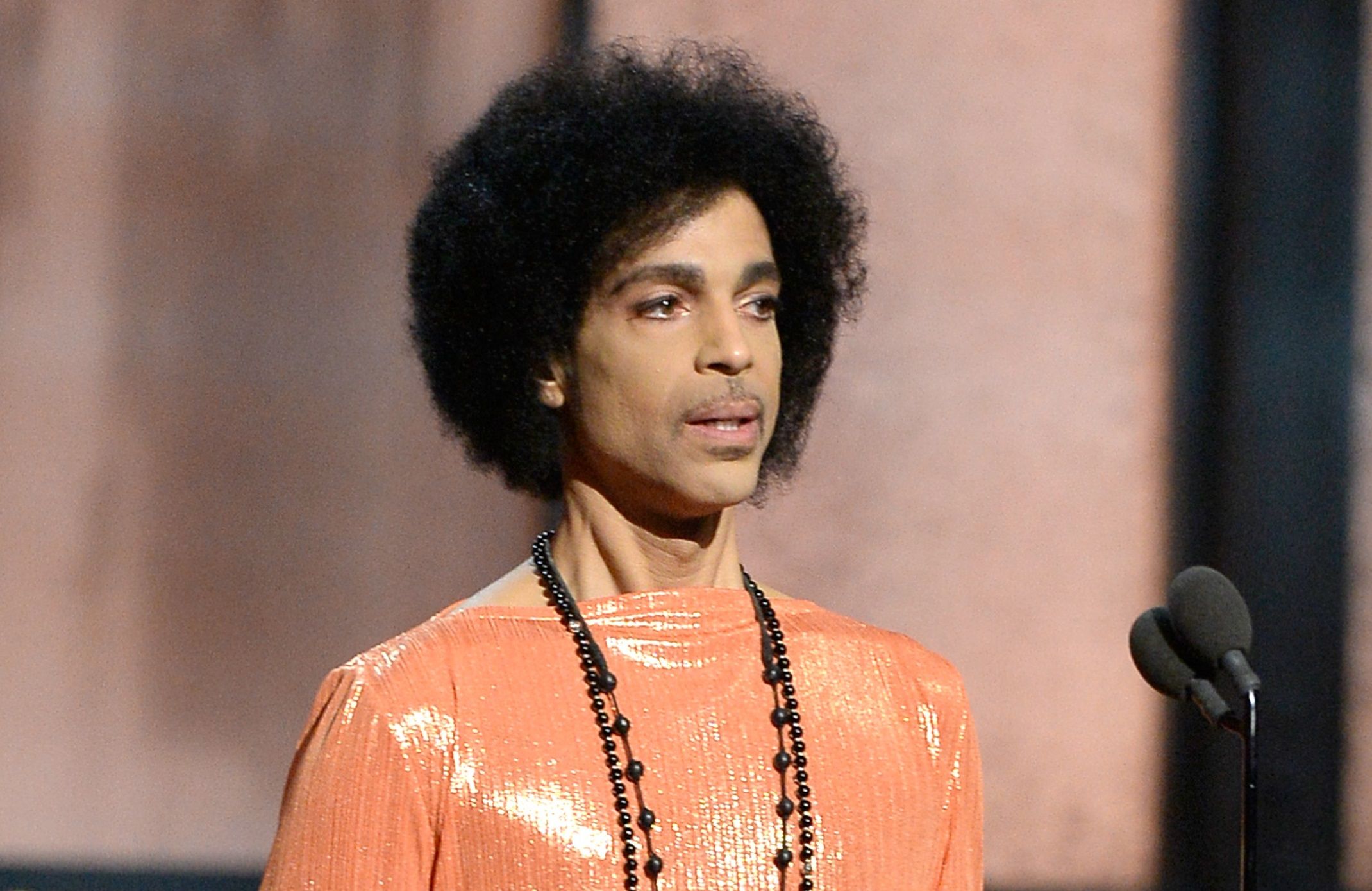 Will Prince’s Sister, Tyka Nelson, Inherit Late Singer’s $300 Million ...