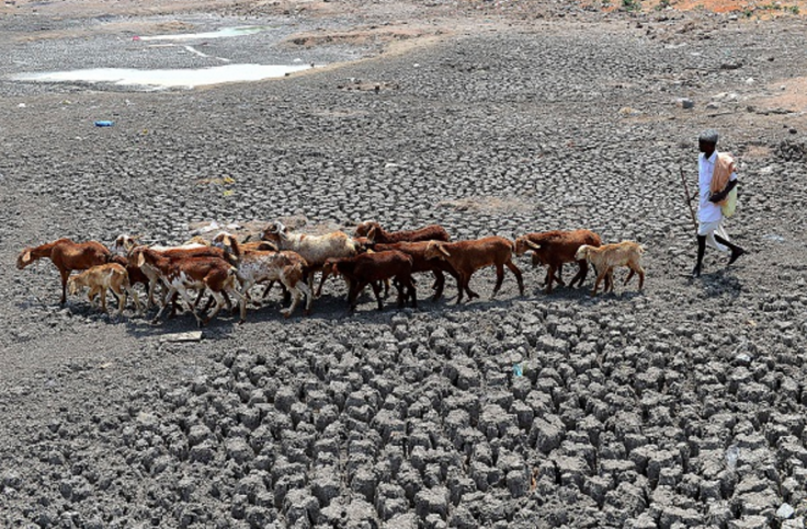 india drought