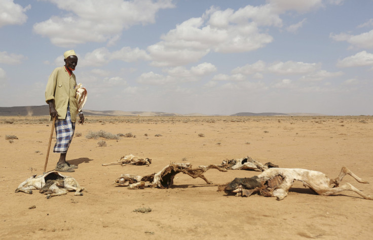 Somalia El Niño drought