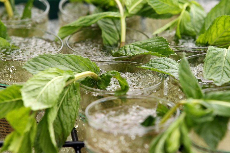 Mint juleps