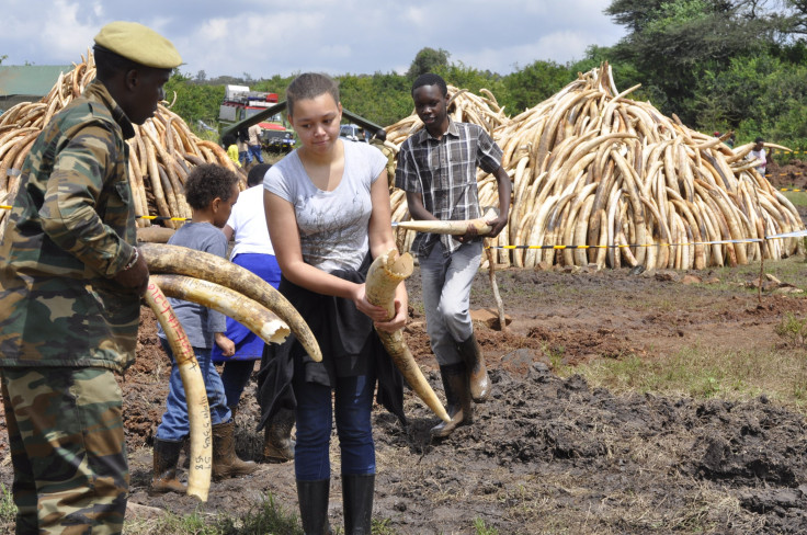 Kenya ivory burn