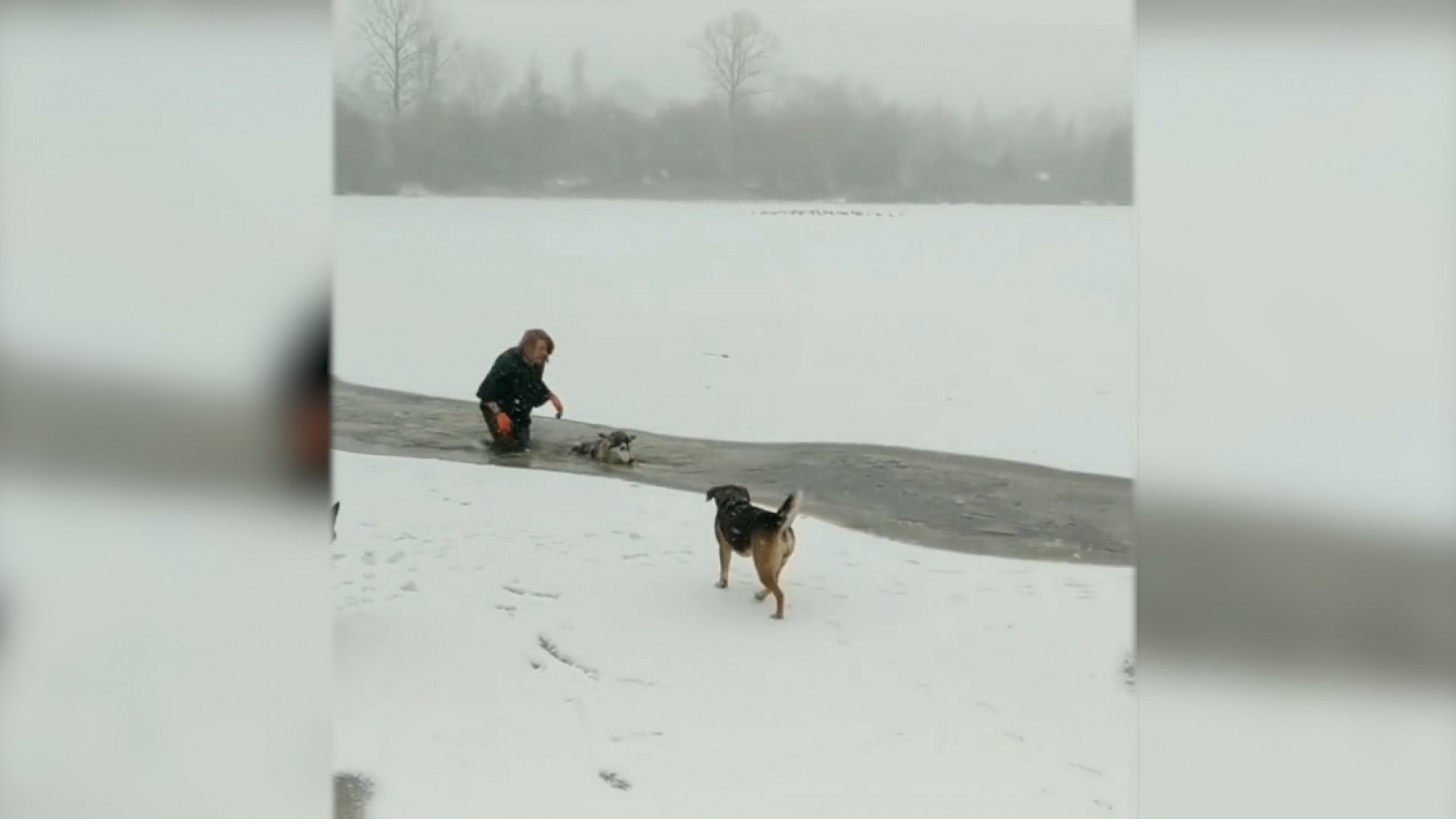 Woman Wades Through Icy Waters To Rescue Dog