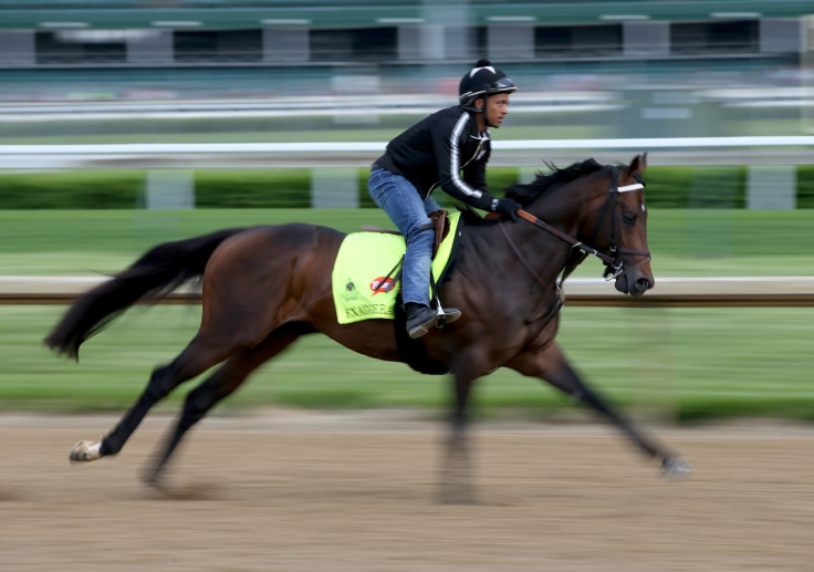 exaggerator kentucky derby 2016