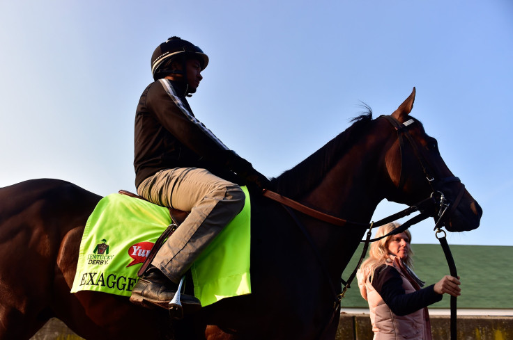 exaggerator kentucky derby 2016