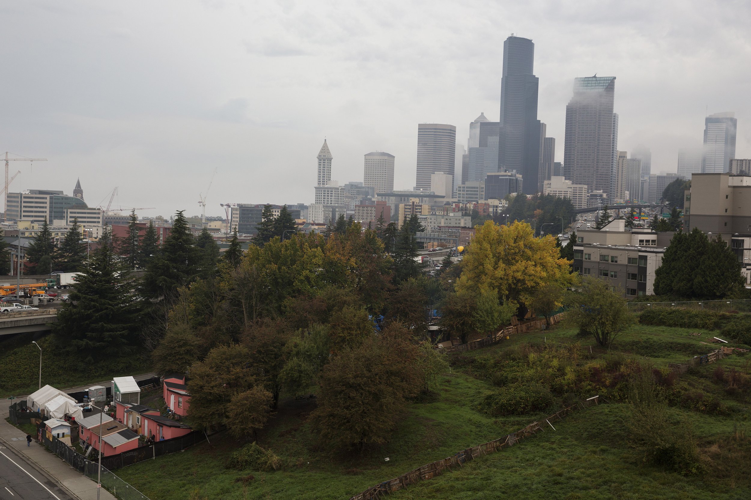 Seattle Homelessness Crisis City Shutting Down The Jungle Camp   Seattle 