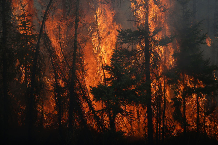 Fort McMurray Wildfire