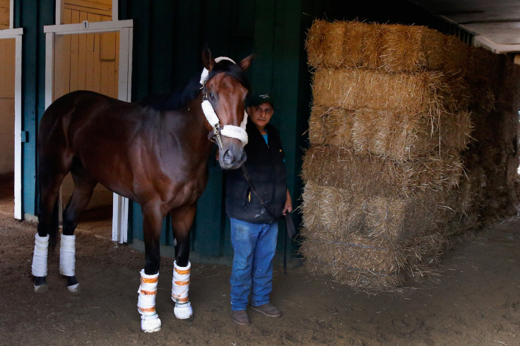 nyquist 2016 preakness