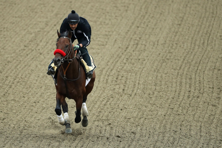 nyquist preakness 2016