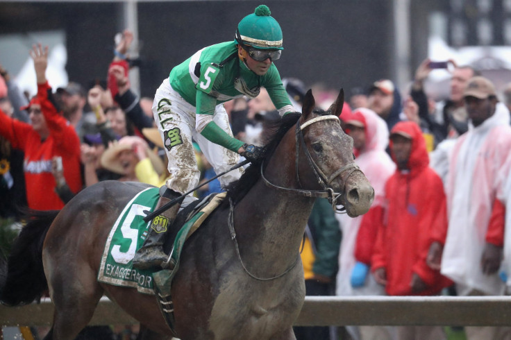 exaggerator preakness