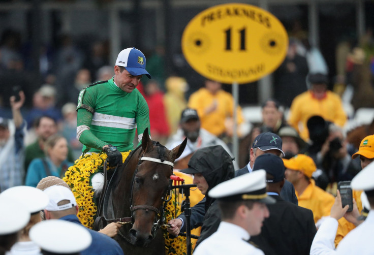 exaggerator preakness 2016