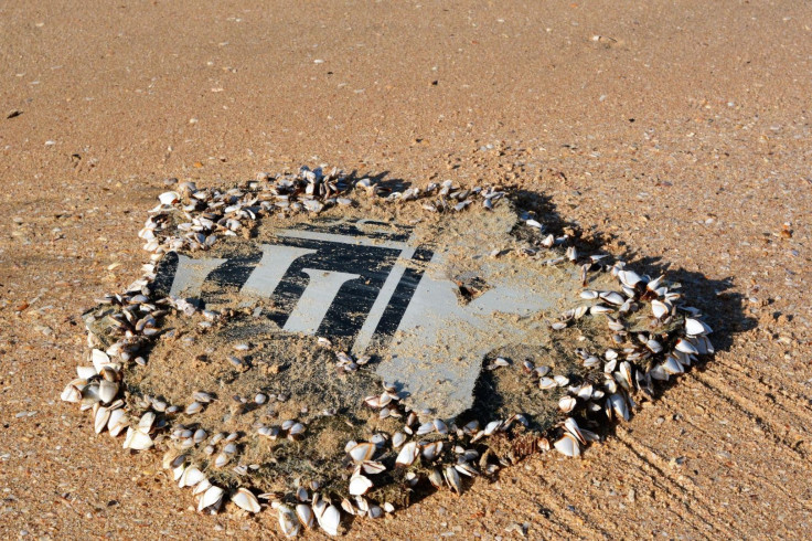 MH370 debris