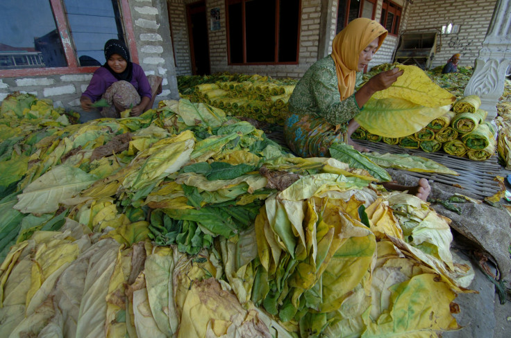 IndonesiaTobacco